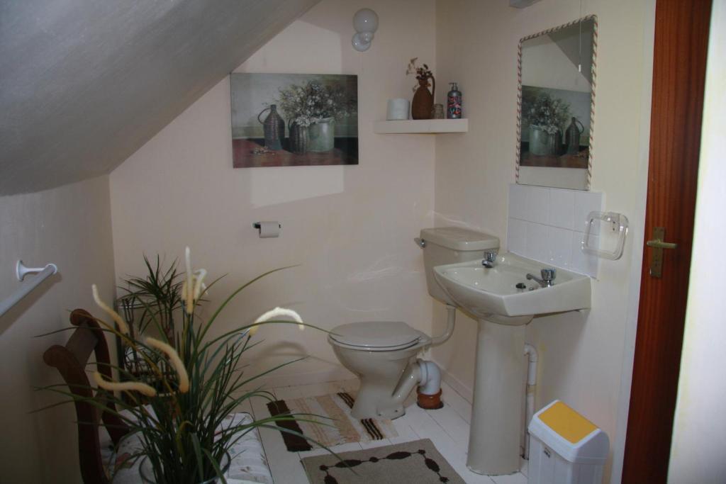 The Old School House B&B Ballinskelligs Værelse billede